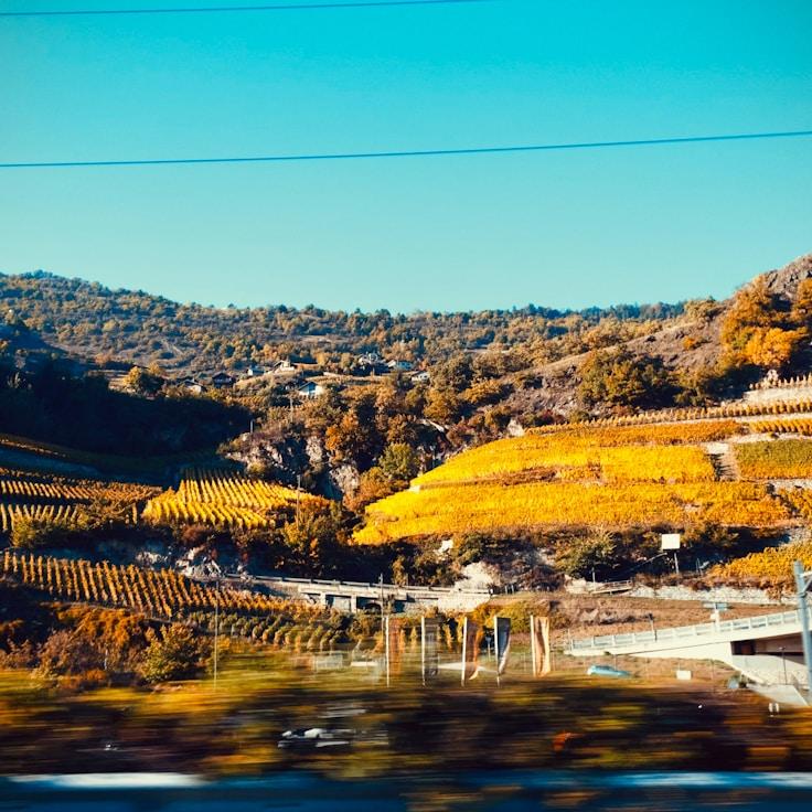 Family terraces and cafés for calm evenings in Zurich